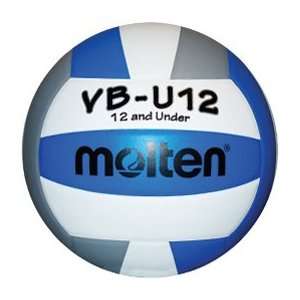   VBU12/USYVL Approved Volleyballs NAVY/GREY OFFICIAL