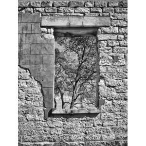  The Ruins of Salado College, Limited Edition Photograph 