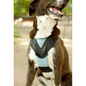 Bergan Dog Auto Safety Seatbelt Travel Harness   Medium, Large & XL 