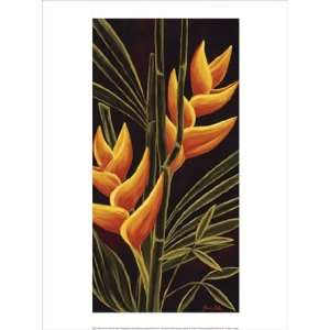  Heliconia by Yvette St. Amant 12x16