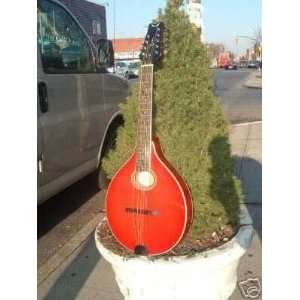  Dean Mondo Mando Mandolin Guitar Trans Red Musical 