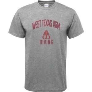   Sport Grey Youth Varsity Washed Diving Arch T Shirt