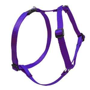  3/4 Purple 14 24 Roman Harness