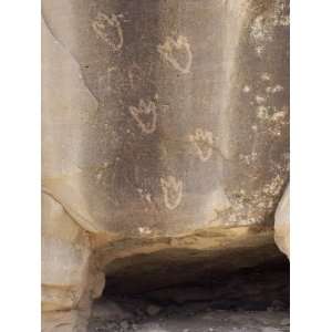 Bear Paw Petroglyphs of the Anasazi Ancestral Puebloans, Canyon De 