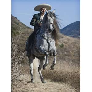 Horseman in Traditional Dress Riding Grey Andalusian Stallion, Ojai 