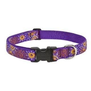 Lupine 1 Inch Sunny Days Adjustable Dog Collar, 16 Inch to 28 Inch by 