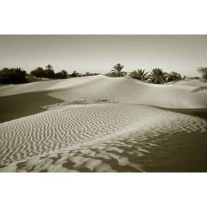  Sahara Desert, Douz,Tunisia by Jon Arnold, 72x48