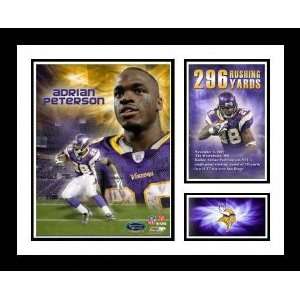  Andrian Peterson Minnesota Vikings   296 Rushing Yards 