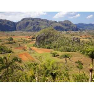  Agriculture in the Dramatic Valle De Vinales, Pinar Del 