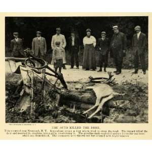  1913 Print Automobile Deer Roadkill Newcomb Accident 