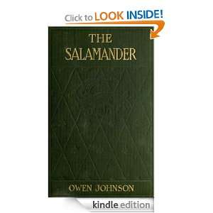 The Salamander [Illustrated] Owen Johnson, Everett Shinn  