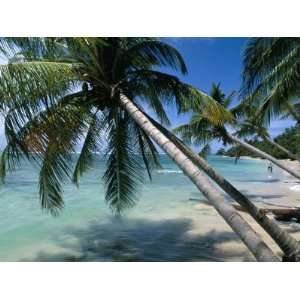 Beach, Capesterre Region, Ile De Marie Galante, French Antilles, West 