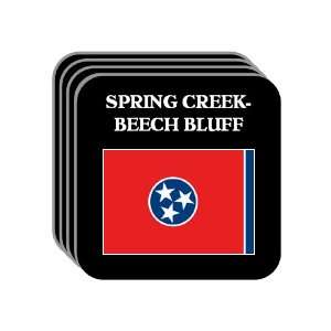 US State Flag   SPRING CREEK BEECH BLUFF, Tennessee (TN) Set of 4 Mini 