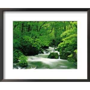  River and Waterfall in Woodland, Aomori, Japan Framed Art 