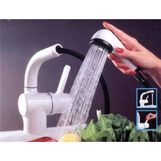 Eurogal Kitchen Faucet with Pull out Spout (7811, White)