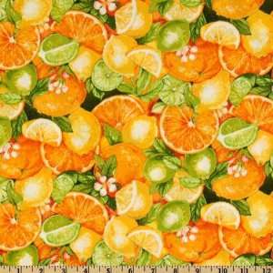  44 Wide Gourmet Grocer Citrus Lime/Orange Fabric By The 
