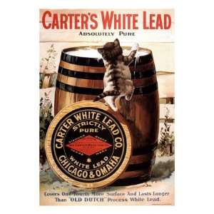  Paint Carters Lead, USA, 1910 Premium Poster Print, 12x16 