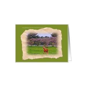  Birthday,Son in law, Blond Horse in Apple Blossoms Card 