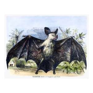  Vampire Bat Premium Giclee Poster Print