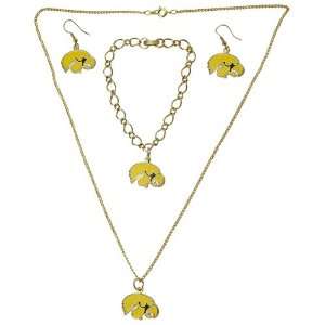  Iowa Hawkeyes Gold Tone Jewelry Gift Set Sports 