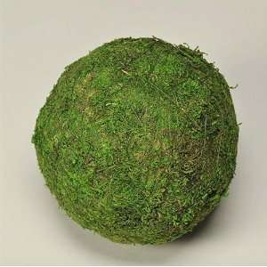  Decorative Preserved Moss Balls