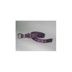  Hamilton Dog Collar Purple 1 X 22 Inch   B DD 22PM Pet 