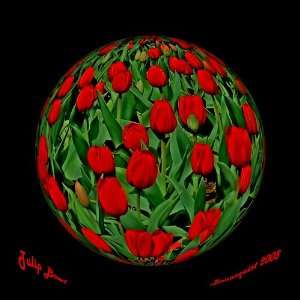 Tulip Bowl by Bonacquist Fine Art Studios