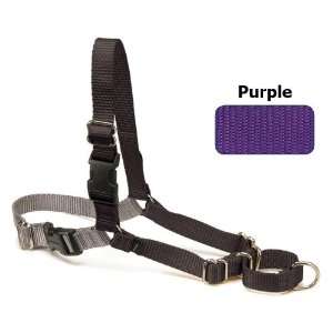  Easy Walk Dog Harness   Purple/Black