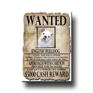 English Bulldog Wanted Fridge Magnet No 3