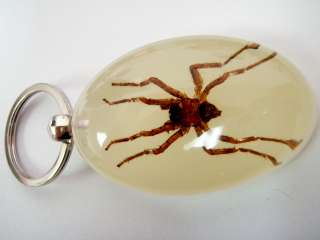 Large Insect Keychain   Ghost Spider (Glow)  