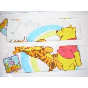   Winnie the Pooh 100% Cotton Washcloth ~ 2 pc Set