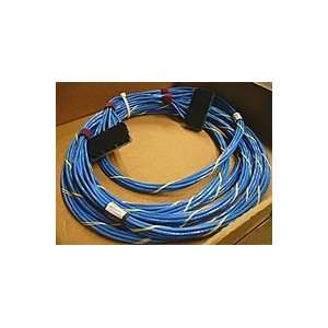   to (GR) Jack Riser (BU) Cable   6 Strand   30 FT   Blue Electronics