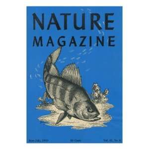  Nature Magazine   View of a Bass Underwater, c.1949 