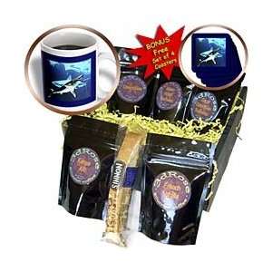 Florene Underwater Animals   Underwater Sharks   Coffee Gift Baskets 