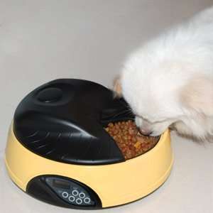 New Four Days LCD Programmable Talking Automatic Pet Feeder Auto Dog 