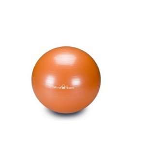 Up to 600 pound Burst Resistant Exercise Ball   45 cm   Color Flame 