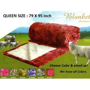  Extremely Soft Cozy Borrego Solid Blanket   Queen Size (6 