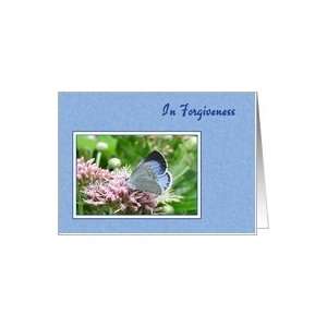  Forgiveness   Holly Blue Butterfly Card Health & Personal 