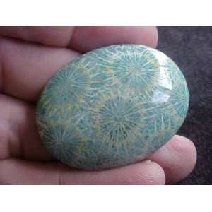   Fossil Agate Turquoise Color Oval Cabochon Cute  