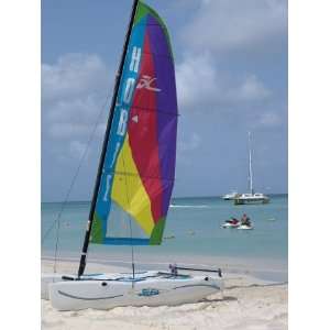  Hobie Sailboat on Palm Beach, Aruba, Caribbean Stretched 