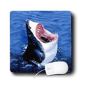  Sharks   Great White Shark   Mouse Pads Electronics