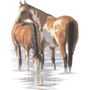  T shirts Animals Wildlife Horses Watercolor XXL 