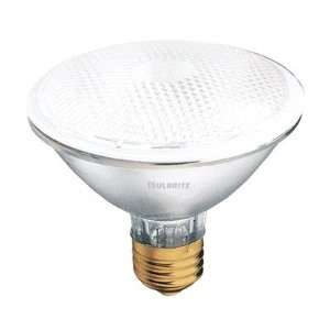  75W PAR30 Frosted Halogen Bulb with E26 Base in Frost [Set 