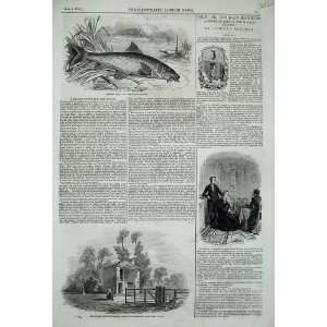  1846 Barbel Fish Angling Toll House Gloucester Ruins