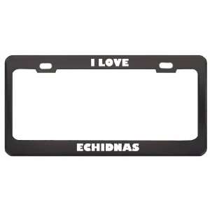  I Love Echidnas Animals Metal License Plate Frame Tag 