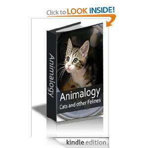    Cats and Other Felines Bassam Imam  Kindle Store