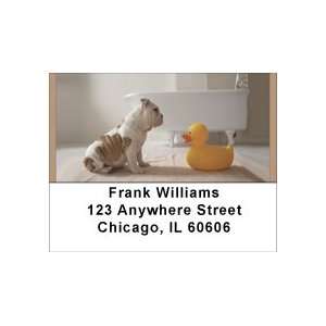  Bulldog Bathtime Address Labels