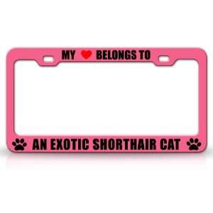 MY HEART BELONGS TO AN EXOTIC SHORTHAIR Cat Pet Auto License Plate 
