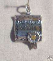 Bachelors Degree Charm   Sterling Silver   NEW  