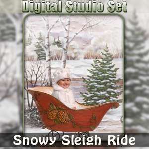 Christmas Digital Background & Photo Prop   Winter Scene   Snowy 
